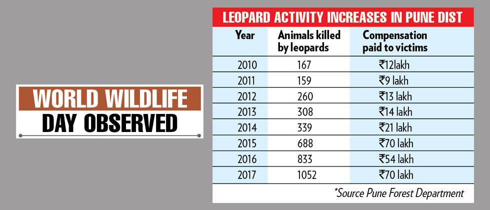 ‘Leopard population study required’‘Leopard population study required’