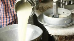 FDA seizes 3,50,000 litres of adulterated milk FDA seizes 3,50,000 litres of adulterated milk
