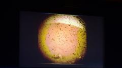 InSight catching rays on Mars: NASA InSight catching rays on Mars: NASA