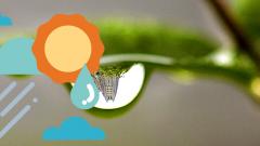 ‘Central Maharashtra to receive rainfall’ ‘Central Maharashtra to receive rainfall’