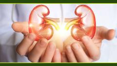Jupiter Foundation to give new hope to kidney patients Jupiter Foundation to give new hope to kidney patients