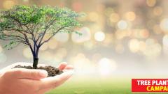 Promote environmental cause: CBSE directs schools Promote environmental cause: CBSE directs schools