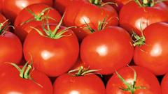 Tomato prices soar by Rs 20 Tomato prices soar by Rs 20