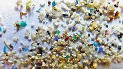 Urgent need to study the impact of microplastics on human health, says WHO Urgent need to study the impact of microplastics on human health, says WHO