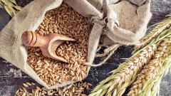 VSA will hold ‘Grains Festival’ to provide natural farm fresh produce VSA will hold ‘Grains Festival’ to provide natural farm fresh produce
