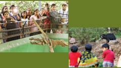 Vacations, new attractions boost footfalls at Katraj Zoo Vacations, new attractions boost footfalls at Katraj Zoo