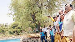 33 cr trees to be planted in State: Mungantiwar 33 cr trees to be planted in State: Mungantiwar