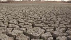 Collectors asked to submit weekly reports on drought Collectors asked to submit weekly reports on drought