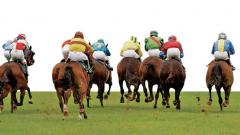 Poonawalla-owned Ruffina wins in record timing Poonawalla-owned Ruffina wins in record timing