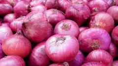 Farmer gets Rs 1,064 for 750 kg of onion; sends money to PM Farmer gets Rs 1,064 for 750 kg of onion; sends money to PM