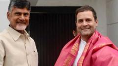 LokSabha 2019: TDP chief Naidu meets Rahul; discusses firming up anti-BJP front LokSabha 2019: TDP chief Naidu meets Rahul; discusses firming up anti-BJP front