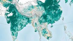 More green cover won’t impact climate change More green cover won’t impact climate change