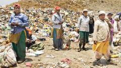 NEERI to track bio-mining project at the Uruli depot NEERI to track bio-mining project at the Uruli depot