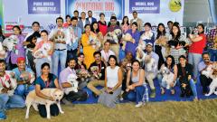 Dog grooming contest held in city Dog grooming contest held in city