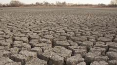 Drought-hit migrants in State will get work Drought-hit migrants in State will get work