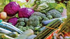 Exotic vegetables’ prices skyrocket Exotic vegetables’ prices skyrocket