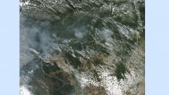 Fires in Amazon rainforest rage at record rate Fires in Amazon rainforest rage at record rate