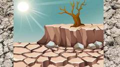 22% less rain in Marathwada 22% less rain in Marathwada