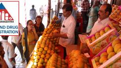 FDA testing mangoes for calcium carbide FDA testing mangoes for calcium carbide