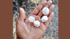 Hailstorm, light rain in city Hailstorm, light rain in city