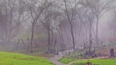 City to get low rainfall till July 16 City to get low rainfall till July 16