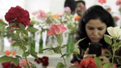 100th rose exhibition takes off in city today 100th rose exhibition takes off in city today