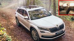 A new species of SUV A new species of SUV