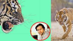 Save the big cat Save the big cat