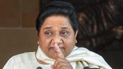 Mayawati says BSP will fight all polls alone, gets flak from SP Mayawati says BSP will fight all polls alone, gets flak from SP