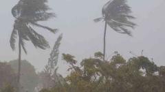 Severe cyclonic storm 'Gaja' makes landfall in TN Severe cyclonic storm 'Gaja' makes landfall in TN