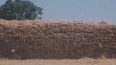 Fodder camps to operate for 1 more month Fodder camps to operate for 1 more month