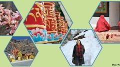 The Jewel of Sikkim The Jewel of Sikkim