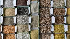 WPI inflation in July slips to 25-month low of 1.08 pc on cheaper food items, fuel WPI inflation in July slips to 25-month low of 1.08 pc on cheaper food items, fuel