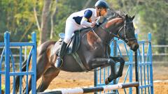 Ceddar Equestrian Centre impresses at MEG 2019 Ceddar Equestrian Centre impresses at MEG 2019