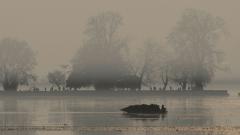 Mercury continues downward spiral in Kashmir Valley Mercury continues downward spiral in Kashmir Valley