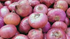 Maha-FPC procures 25K MT onions to combat price hike Maha-FPC procures 25K MT onions to combat price hike