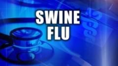41 swine flu deaths reported by PMC since January 1 41 swine flu deaths reported by PMC since January 1