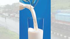 Heavy rains affect milk supply in city Heavy rains affect milk supply in city