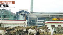 Only 27 sugar factories pay 100 per cent FRP Only 27 sugar factories pay 100 per cent FRP