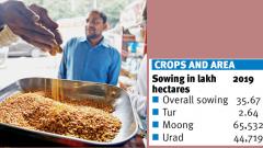 Pulses to get costly Pulses to get costly