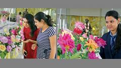 Rose exhibition begins in city Rose exhibition begins in city