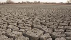 State announces sops for people from drought-hit areas State announces sops for people from drought-hit areas