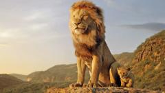 The Lion King: The magic unfolds (Reviews) The Lion King: The magic unfolds (Reviews)