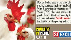Chicken, egg prices may go up due to soaring production cost Chicken, egg prices may go up due to soaring production cost
