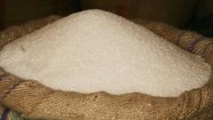 Sugar production may go down by 40 pc due to floods Sugar production may go down by 40 pc due to floods