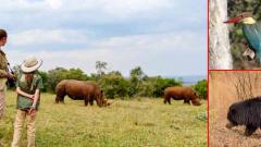 A family who safaris together A family who safaris together