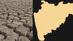Central delegation to assess crop damage in Maha Central delegation to assess crop damage in Maha