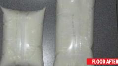 Dairy projects await State govt subsidy Dairy projects await State govt subsidy