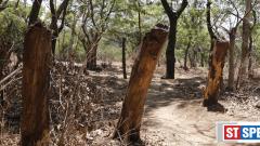 Include Salim Ali bird sanctuary in natural heritage site list: Citizens Include Salim Ali bird sanctuary in natural heritage site list: Citizens