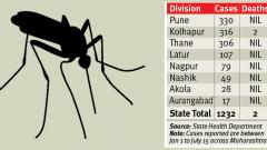 Over 1,231 dengue cases in State; Pune tops list Over 1,231 dengue cases in State; Pune tops list